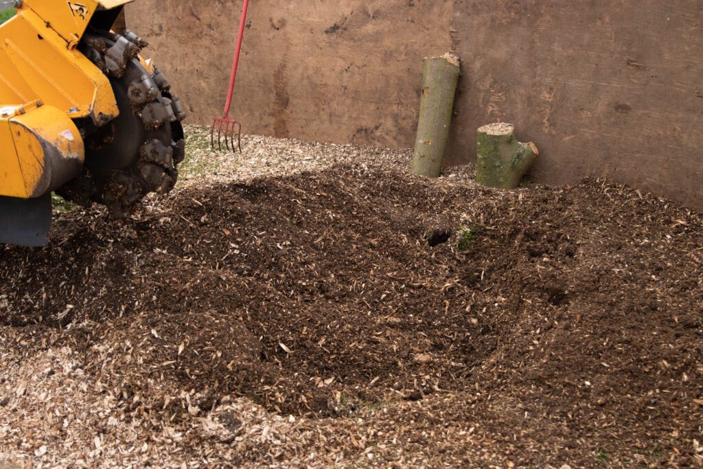large hole full of woodchip after tree stump removal