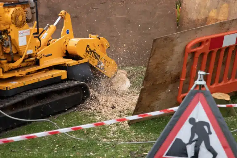 Stump removal Norwich