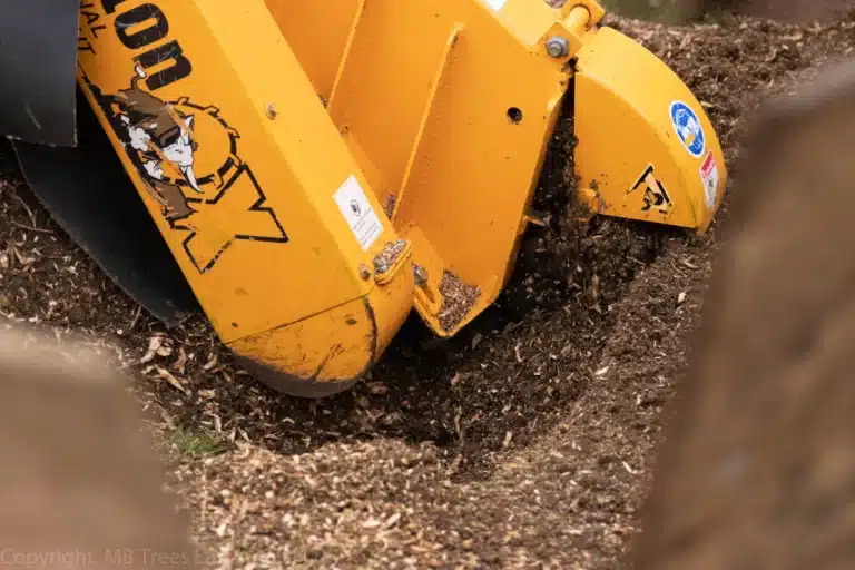 Stump removal in Colchester being done by a large stump grinder