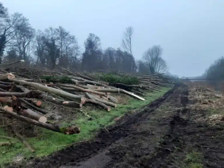Site Clearance Stowmarket