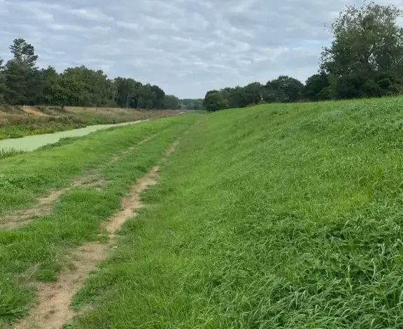 Embankment after site clearance